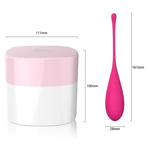 Leslie - Entrenador vaginal Kegel Fit para el suelo pélvico con 6 pesos - Imagen 8