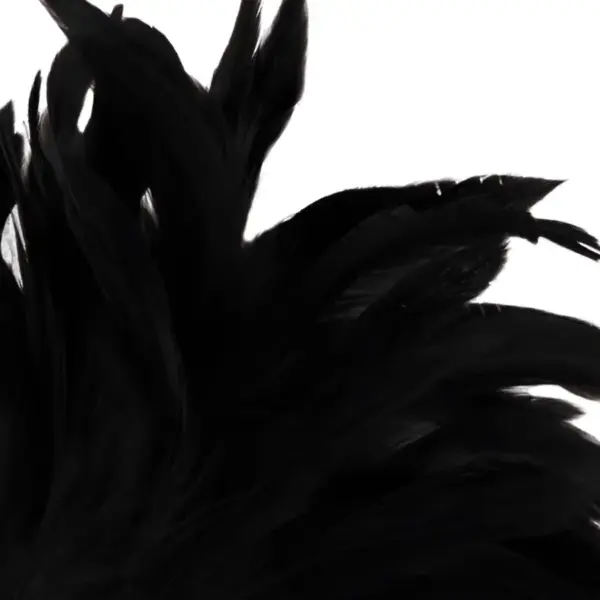DARKNESS - Pluma Estimuladora Negro Lux para Sensaciones Eróticas - Imagen 2