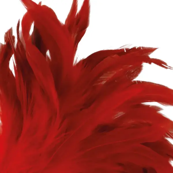 DARKNESS - Pluma Estimuladora Roja 24cm para Juegos Eróticos - Imagen 2