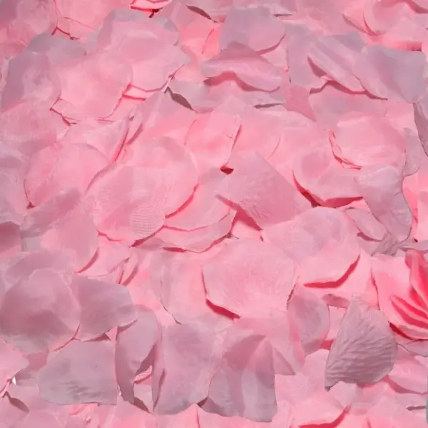 Diablo Picante - 100 Pétalos Rosa para Momentos Especiales