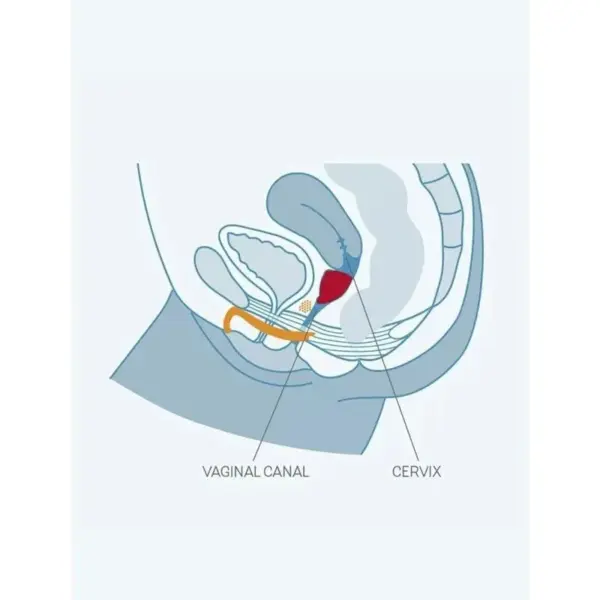 FUN FACTORY - FUN CUP TALLA A TURQUESA: Copa Menstrual Innovadora - Imagen 5