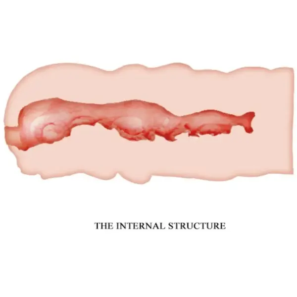 CRAZY BULL - Isabel Masturbador Vagina 13.5 CM para Placer Portátil - Imagen 4