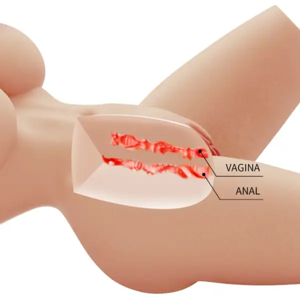CRAZY BULL - Lily Torso Femenino Realista Vagina y Anal 4 kg - Imagen 7