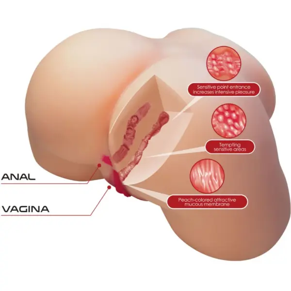 CRAZY BULL - Olivia Trasero Femenino Realista Vagina y Anal 5.5 kg - Imagen 7