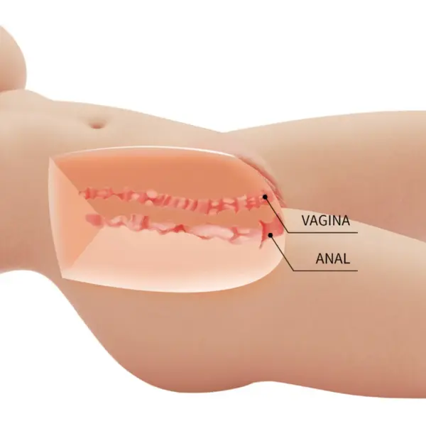 CRAZY BULL - Tiffany Torso Femenino Realista Vagina y Anal 5.5 kg - Imagen 7