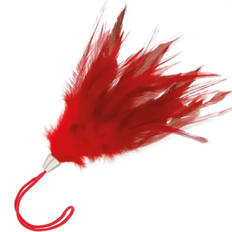 DARKNESS - Pluma Estimuladora Rojo 17cm para Juegos Eróticos