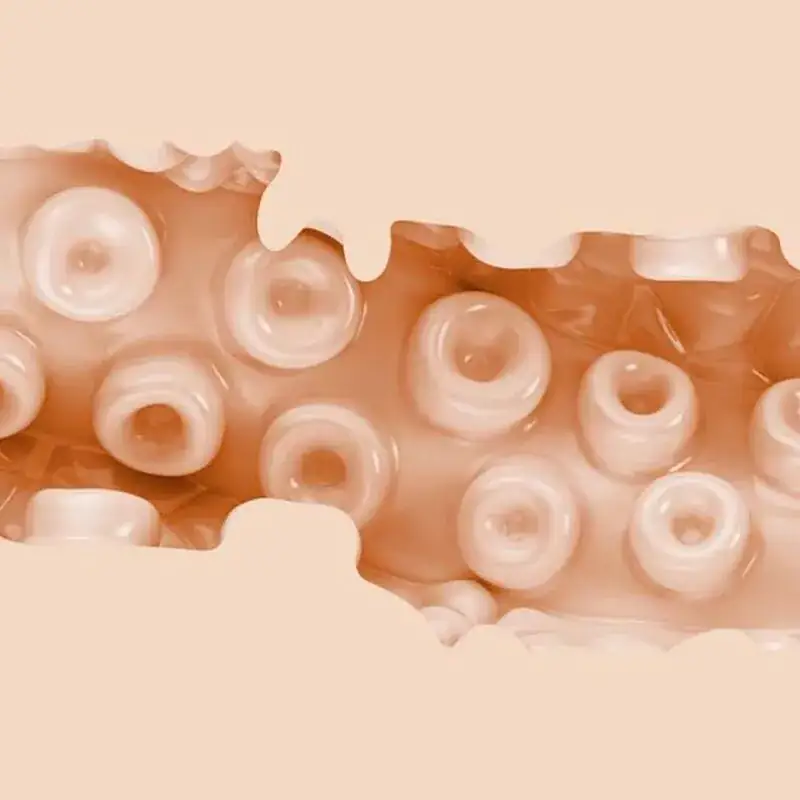 Fleshlight Fantasy - Sasha Nakamoto Vagina - Imagen 3