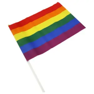 PRIDE - Banderín Mediano con Bandera LGBT