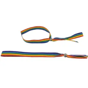 PRIDE - Pulsera Bolita Plateada Bandera LGBT para Celebraciones