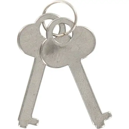 TOYJOY - Esposas del Amor Negro para BDSM y Bondage - Imagen 2