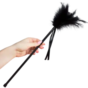 SECRETPLAY - PLUMERO PLUMAS NEGRO 40 CM