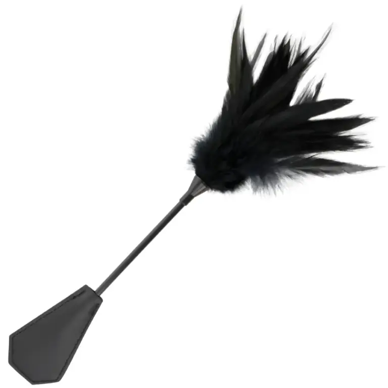 DARKNESS - Látigo de Plumas Negras Premium para BDSM - vista principal