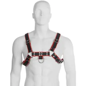 LEATHER - Harness de Cueros Premium Ajustable para BDSM
