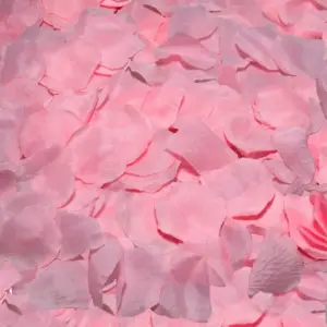 Diablo Picante - 100 PINK PETALS Original para Sorprender
