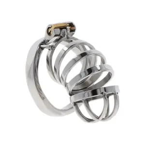 Hidden Desire - Chastity Cock Cage Metal Profesional y Seguro