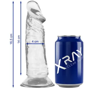 XRAY - CLEAR COCK 16.5 CM X 4 CM Premium Transparente