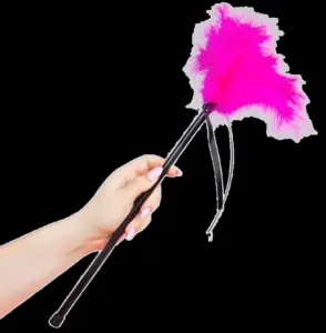 SECRETPLAY - Pink Feathers 40 cm: Pluma para caricias sensuales